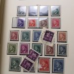 Reste-Posten "Wilde Wolke", 2 Kartons = insges. 42 KG