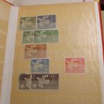 Reste-Posten "Wilde Wolke", 2 Kartons = insges. 42 KG