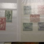 Reste-Posten "Wilde Wolke", 2 Kartons = insges. 42 KG