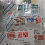 Reste-Posten "Wilde Wolke", 2 Kartons = insges. 42 KG