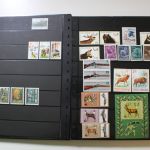 Motivsammlung im SAFE Ringbinder mit 41 Kunststoffseiten