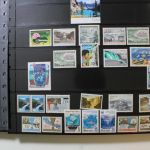 Motivsammlung im SAFE Ringbinder mit 41 Kunststoffseiten