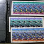 Motivsammlung im SAFE Ringbinder mit 41 Kunststoffseiten
