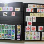 Motivsammlung im SAFE Ringbinder mit 41 Kunststoffseiten
