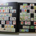 Motivsammlung im SAFE Ringbinder mit 41 Kunststoffseiten