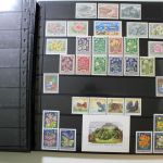 Motivsammlung im SAFE Ringbinder mit 41 Kunststoffseiten