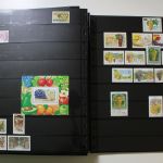 Motivsammlung im SAFE Ringbinder mit 41 Kunststoffseiten