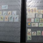Briefmarken-Posten "Ganze Welt" im großen Karton (1)