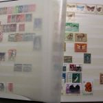 Briefmarken-Posten "Ganze Welt" im großen Karton (1)