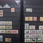 Zentralafrikanische Republik, Somalia, Sahara und etwas Tschad