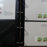 Deutschland-Spezialausgaben Sammlung in 8 Alben von Krüger
