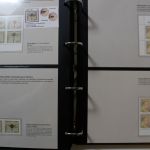 Deutschland-Spezialausgaben Sammlung in 8 Alben von Krüger