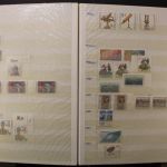 Deutschland (BRD) 1949-1993 Dublettensammlung in 2 Alben