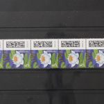 Deutschland (BRD), MiNr. 3644+EAN R, Fünferstreifen, ZN 95, postfrisch
