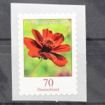 Deutschland (BRD), MiNr. 3197 R skl. Zählnummer 175, postfrisch