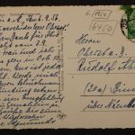 Hanau, Main, Teilansicht, Schloß Philipsruhe, Luftbild