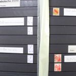 Plattenfehler & Abarten Sammlung ab Deutsches Reich bis BRD