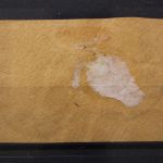 Landespost Belgien, MiNr. 9, Briefstück