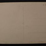 Verden, Aller, Dom, Weide Kühe