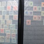Ukraine 1918-2021 + Westukraine, Sammlung in 5 Alben