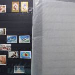 Ukraine 1918-2021 + Westukraine, Sammlung in 5 Alben