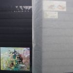 Ukraine 1918-2021 + Westukraine, Sammlung in 5 Alben
