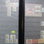 Ukraine 1918-2021 + Westukraine, Sammlung in 5 Alben