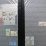 Ukraine 1918-2021 + Westukraine, Sammlung in 5 Alben