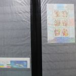 Ukraine 1918-2021 + Westukraine, Sammlung in 5 Alben