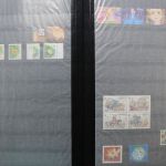 Ukraine 1918-2021 + Westukraine, Sammlung in 5 Alben