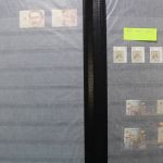 Ukraine 1918-2021 + Westukraine, Sammlung in 5 Alben