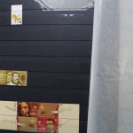 Ukraine 1918-2021 + Westukraine, Sammlung in 5 Alben