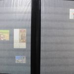Ukraine 1918-2021 + Westukraine, Sammlung in 5 Alben