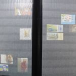 Ukraine 1918-2021 + Westukraine, Sammlung in 5 Alben