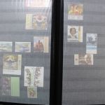 Ukraine 1918-2021 + Westukraine, Sammlung in 5 Alben