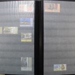 Ukraine 1918-2021 + Westukraine, Sammlung in 5 Alben