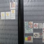 Ukraine 1918-2021 + Westukraine, Sammlung in 5 Alben