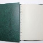 Leuchtturm, 1 grüner Drehstabbinder DP-Perfect