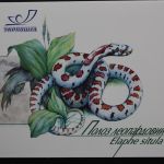 Ukraine, MiNr. 502-505 A im MH 1, gestempelt