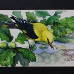 Belarus, MiNr. Block 46 im Folder, postfrisch