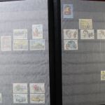 Belgien 1849-1999, gute Sammlung in 3 Alben