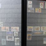 Belgien 1849-1999, gute Sammlung in 3 Alben