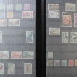 Luxemburg 1866-1996, gute Sammlung im Einsteckalbum