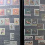 Polen 1918-1977, gute Sammlung