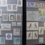 Polen 1918-1977, gute Sammlung