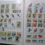 Briefmarken Posten Europa und Übersee in 16 Alben