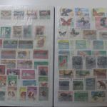 Briefmarken Posten Europa und Übersee in 20 Alben