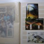 Briefmarken Posten Europa und Übersee in 18 Alben