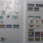 Briefmarken Posten Europa und Übersee in 14 Alben