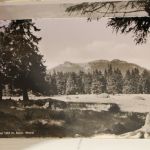 Großer Karton voller Ansichtskarten, alles "Deutschland"